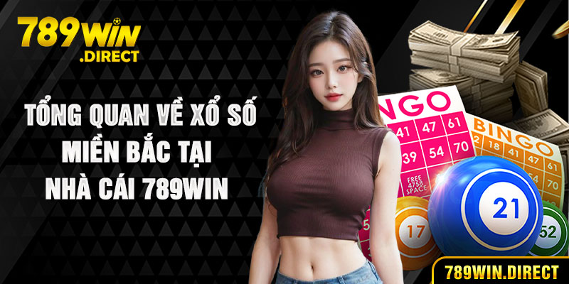 Tổng quan về xổ số miền Bắc tại nhà cái 789WIN